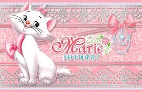 Kočičky Marie a Sugar