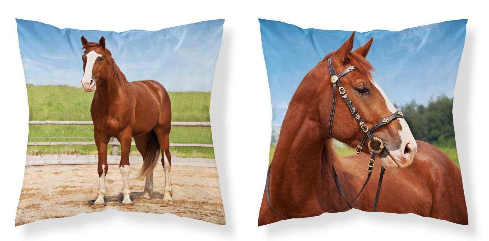 Povlak na polštářek Kůň v ohradě micro 40x40